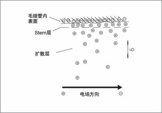 毛细管电泳色谱法