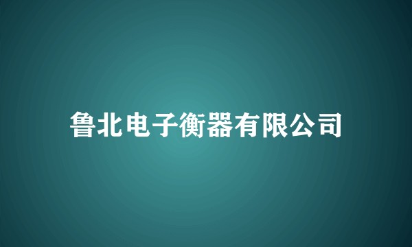 鲁北电子衡器有限公司