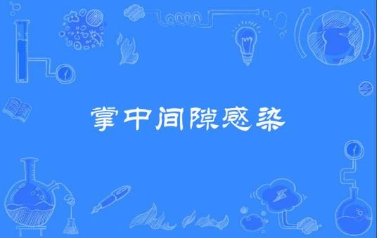 掌中间隙感染
