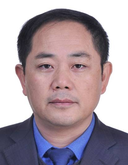 李木林（安徽省安庆市望江县委副书记，县政府党组书记，县长）
