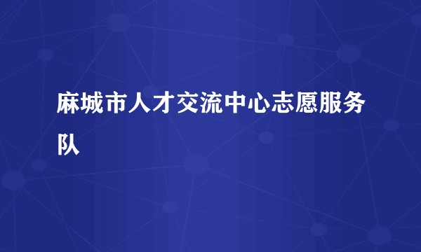 麻城市人才交流中心志愿服务队