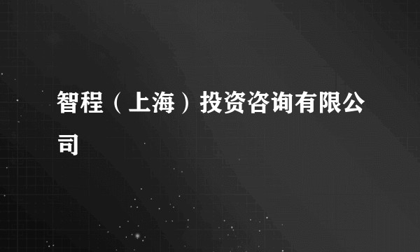 智程（上海）投资咨询有限公司