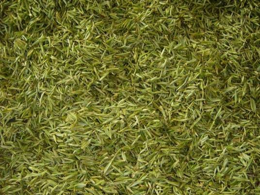 紫阳富硒茶