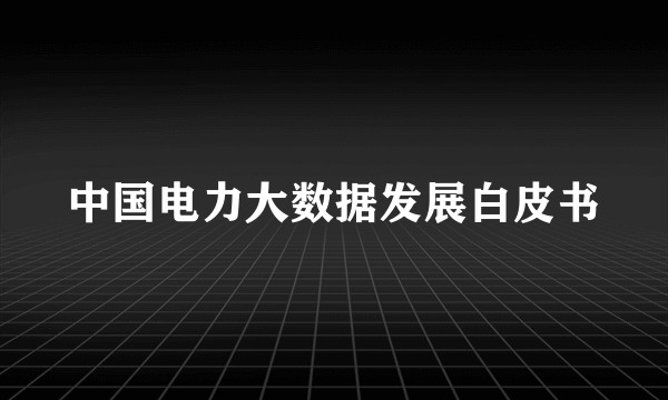 中国电力大数据发展白皮书