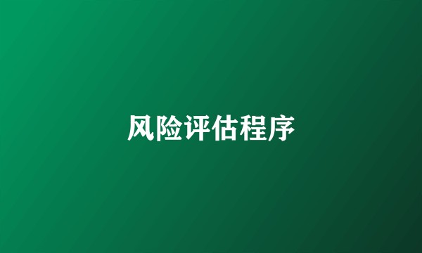 风险评估程序