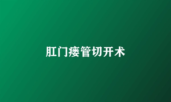 肛门瘘管切开术