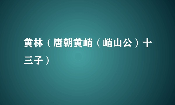 黄林(唐朝黄峭(峭山公)十三子)