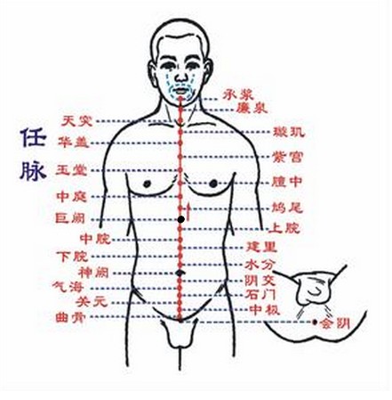 巨阙（中医穴位名）