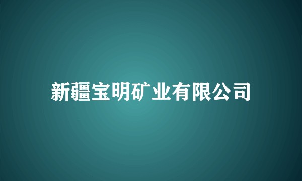 新疆宝明矿业有限公司