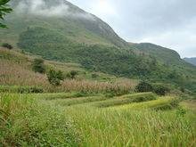 老君山（云南省马关县老君山）