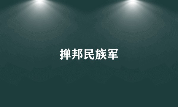 掸邦民族军
