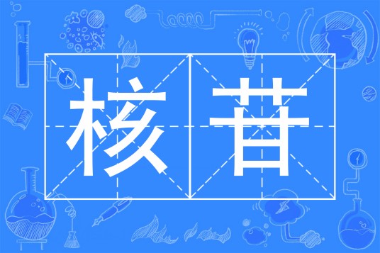 核苷