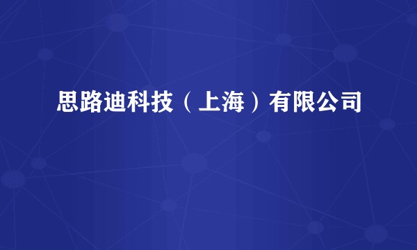 思路迪科技（上海）有限公司