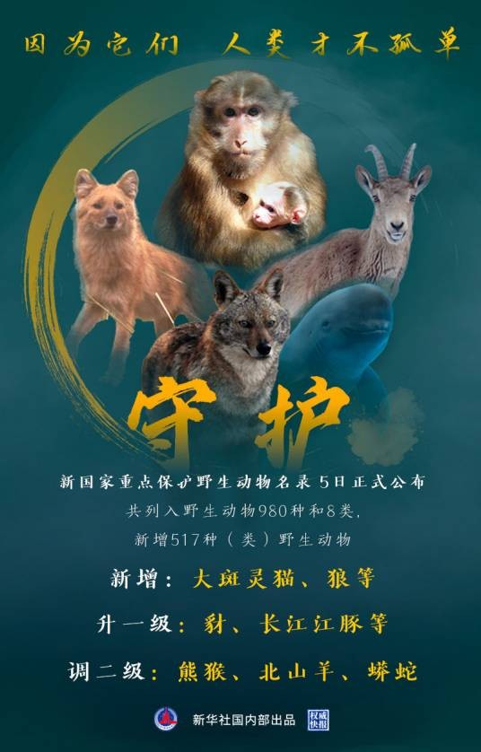 国家重点保护野生动物名录(2021年国家林业和草原局、农业农村部发布的名录)