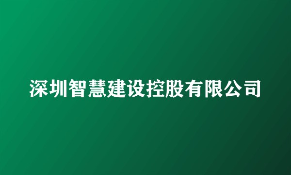 深圳智慧建设控股有限公司