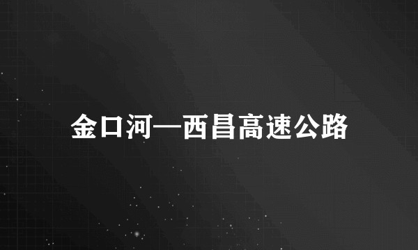 金口河—西昌高速公路