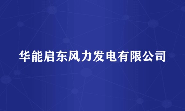 华能启东风力发电有限公司