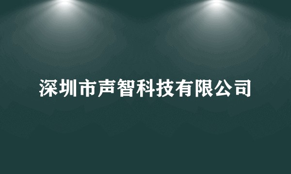 深圳市声智科技有限公司
