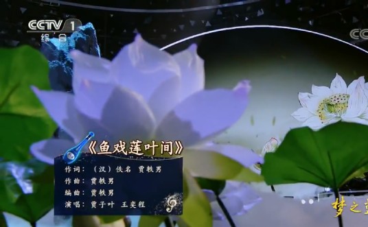 鱼戏莲叶间(贾子叶、王奕程演唱的歌曲)