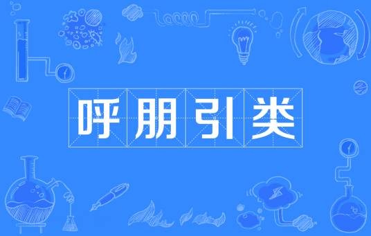 呼朋引类