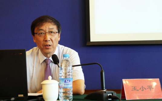 王小平（中国足协纪律委员会原主任）