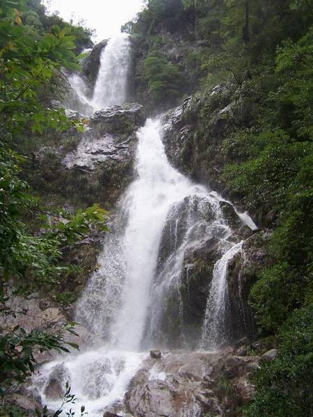 箬寮原始林景区