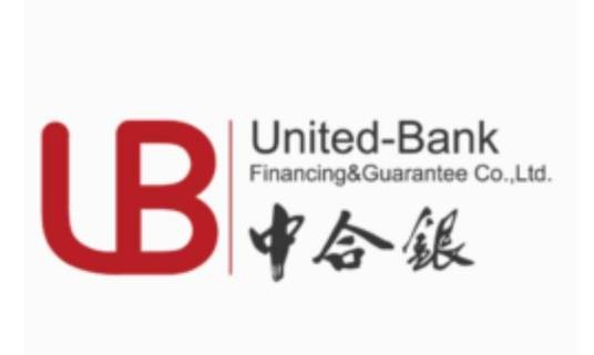 深圳市中合银融资担保有限公司