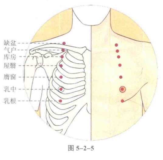 乳根