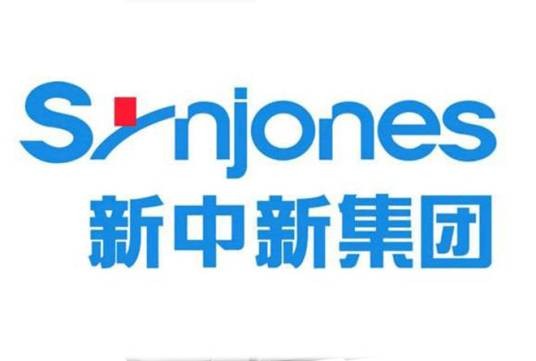 新中新集团