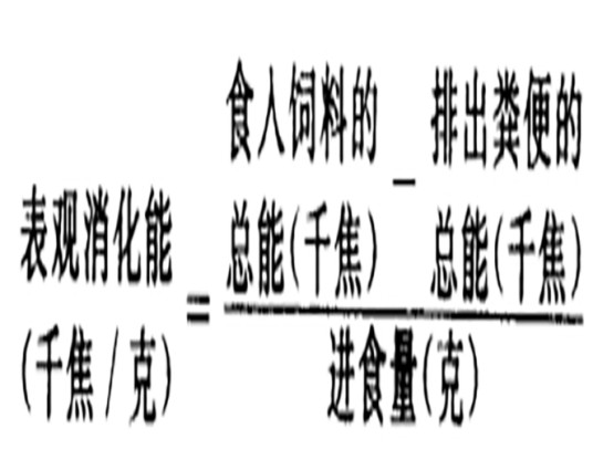 总能