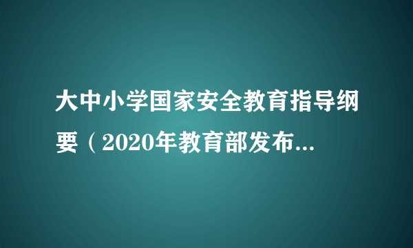 大中小学国家安全教育指导纲要（2020年教育部发布的文件）