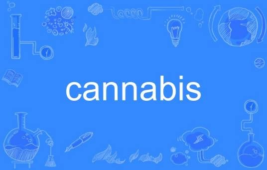 cannabis