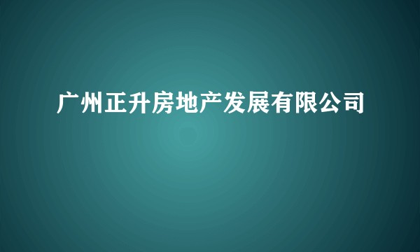 广州正升房地产发展有限公司