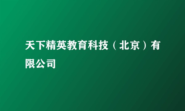 天下精英教育科技（北京）有限公司