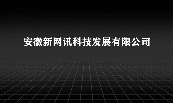 安徽新网讯科技发展有限公司