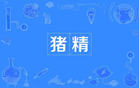 猪精(网络流行词)