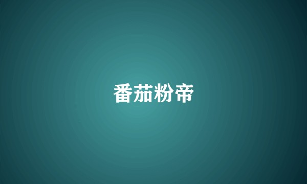 番茄粉帝