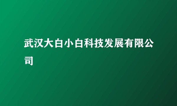 武汉大白小白科技发展有限公司