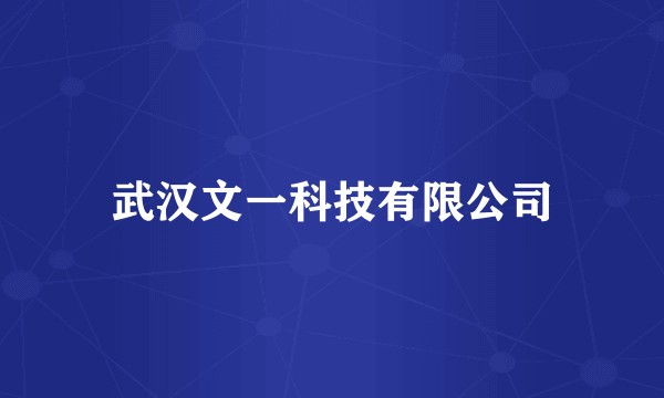 武汉文一科技有限公司