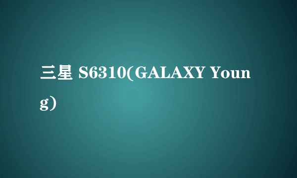 三星 S6310(GALAXY Young)