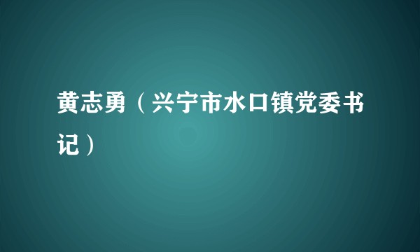 黄志勇(兴宁市水口镇党委书记)