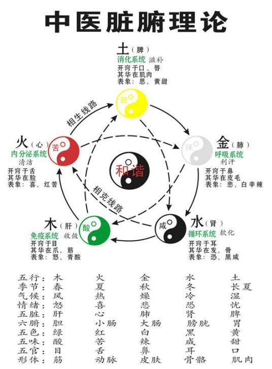 中医理论