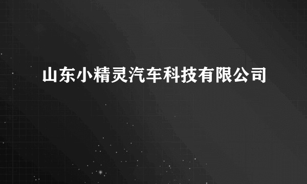 山东小精灵汽车科技有限公司