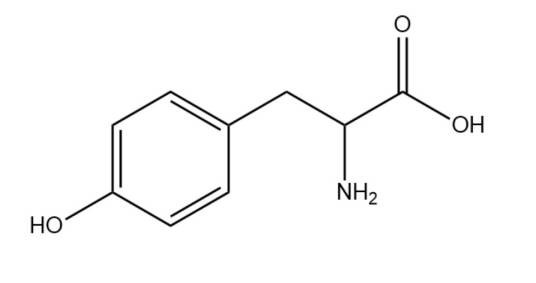 酪氨酸