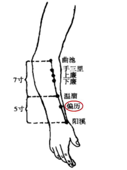 偏历
