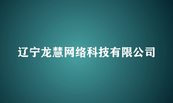 辽宁龙慧网络科技有限公司
