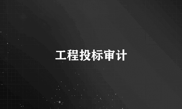 工程投标审计