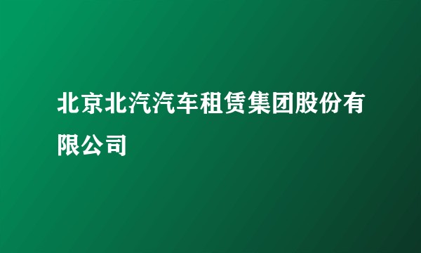 北京北汽汽车租赁集团股份有限公司