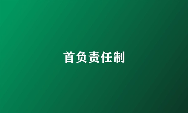 首负责任制