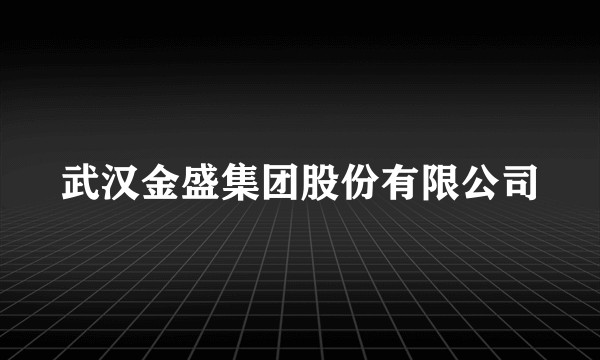 武汉金盛集团股份有限公司